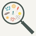 Virus and bacteria with Magnifying glass. Viruses and bacteria icon set. Colorful vector illustration Royalty Free Stock Photo